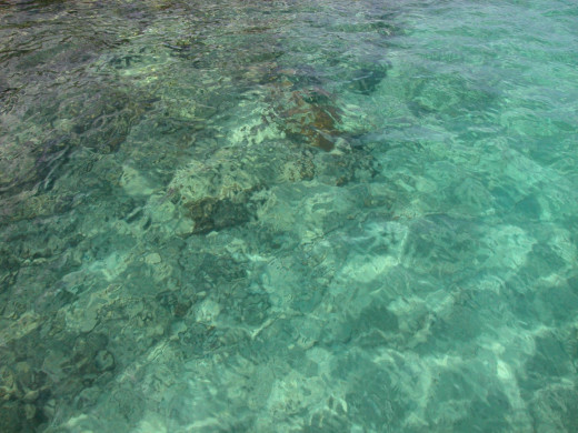 434789 (a): :2400x1800